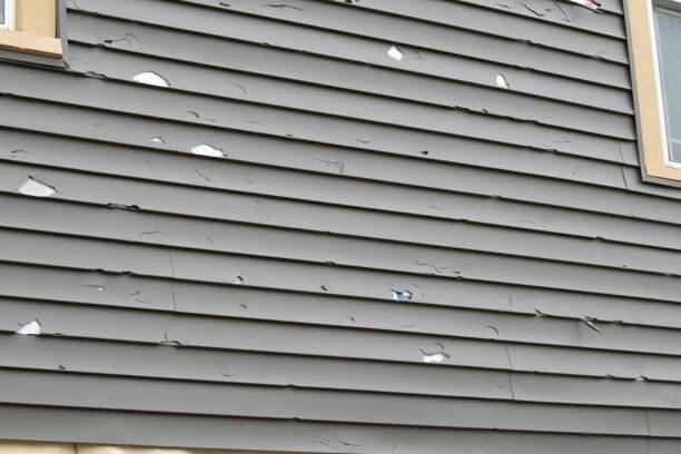 Affordable siding repair and maintenance services in Langdon, ND